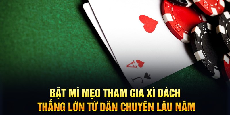 Bật mí mẹo tham gia Xì dách thắng lớn từ dân chuyên lâu năm