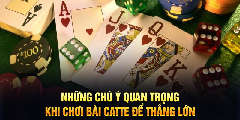 Những chú ý quan trọng khi chơi bài Catte để thắng lớn 